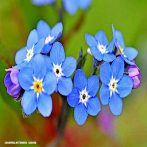 Sacred, Pt. 2 (Original Mix)