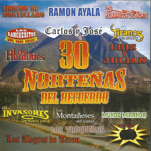 Caballo De La Cordada