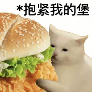 陪着你走（cover）