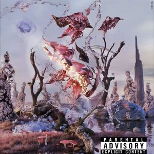 11月16日 阴（prod by morrow）