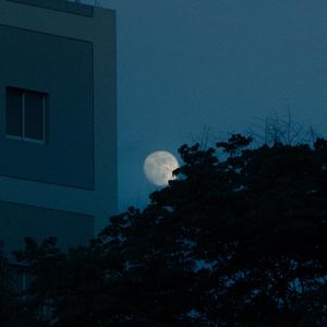 來 一 杯 加 冰 威 士 忌