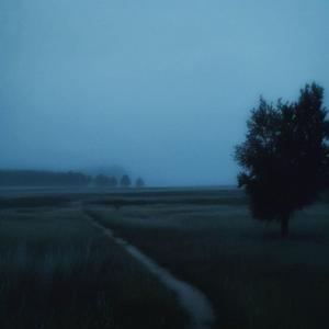 when our hearts speak in different languages