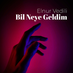 Bil Neye Geldim