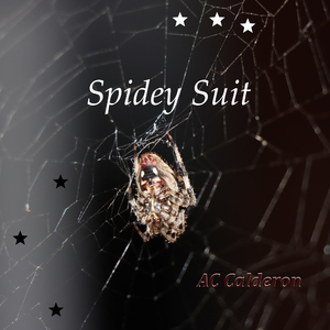Spidey Suit