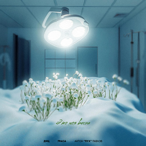 Это моя весна