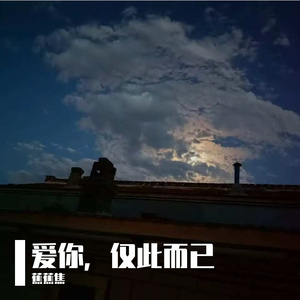 《爱你，仅此而已》_20250811_070659