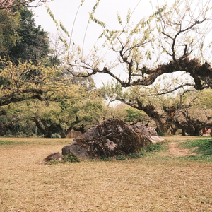 เจ้าของรอยยิ้ม