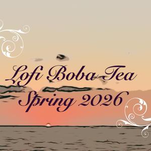 lofi vallarta