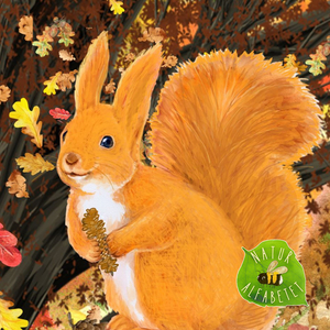 Egernet Elin Historie