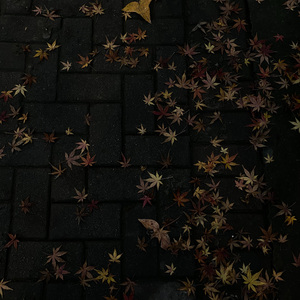 划过夜空的繁星