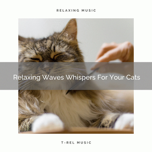 Calming Nature Sounds For Indoors Cats