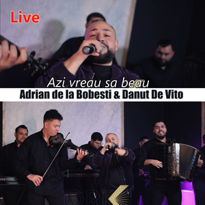 Azi vreau sa beau (Live)