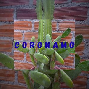 Coronamo