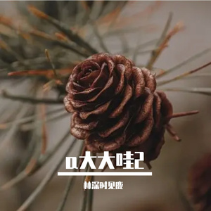 白茶相伴旋律进行曲