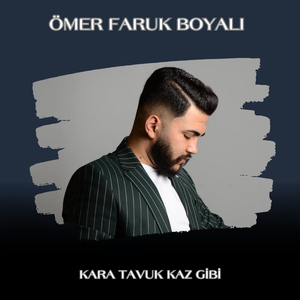 Kara Tavuk Kaz Gibi