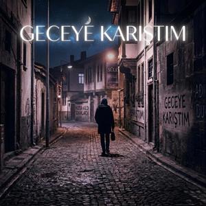 Geceye Karıştım