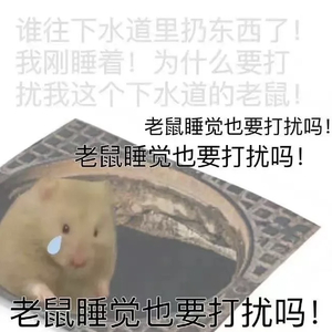 你笑着说 的谎 我哭着当了真