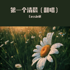 第一个清晨 （cover：王力宏）