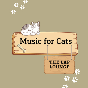 Playful Pounces Music for Cats