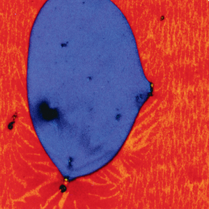 You Are Never Alone (Guraimu Remix)