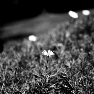 Kiuwwe Naha Adath (feat. Alisia Panditha)