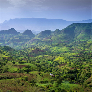Ethiopia Spiritual