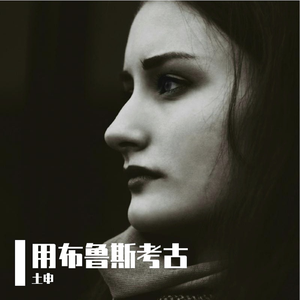 用布鲁斯考古