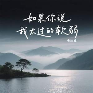 如果你说我太过的软弱