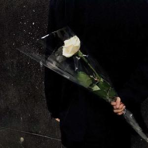 放下（翻自 夏婉安）