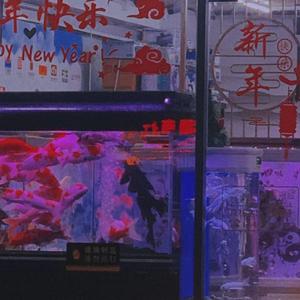 海盗船长一会儿想靠岸一会儿想扬帆妹妹你要上了贼船可别怪哥哥没说清自己是个混蛋