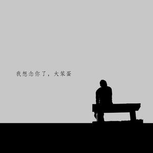 我想念你了，大笨蛋