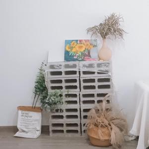 浅橘色孤岛（翻自 青春有你）