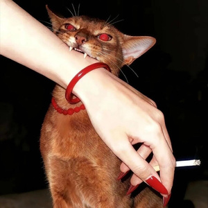 true master（prod by Boog.z)