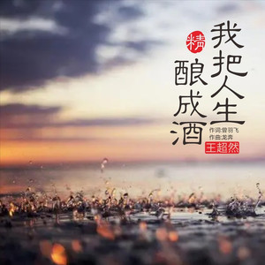 我把人生酿成酒 (DJ光年版伴奏)