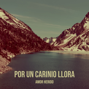 Por Un Carinio Llora