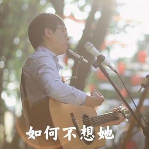 如何不想她