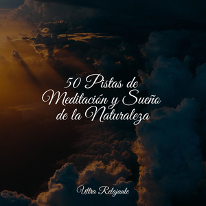 Mente, Cuerpo Y Espíritu