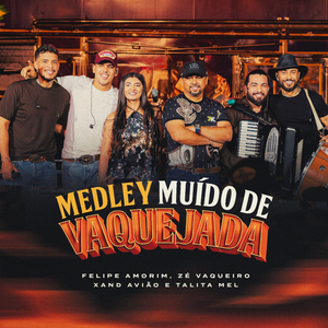 Medley Muído de Vaquejada - Desce do Cavalo / Balada do Vaqueiro / Monta Logo Vai / Calma / Senta No Fazendeiro / Deixa Ela Montar Na Minha Garupa / Botadão Do GW