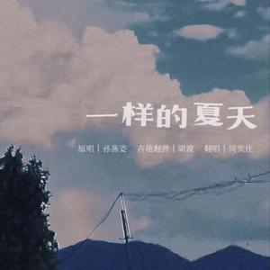 一样的夏天