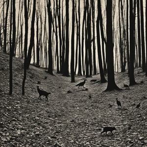 Ações Causam Reações, E Tudo Um Dia Acaba