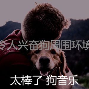 抚慰的小狗回忆