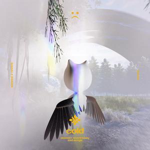 cold - slowed + reverb