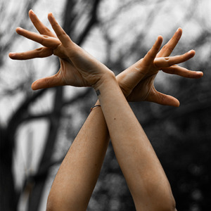 Una Vida En La Que Suenen Rumbas