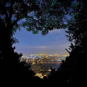 感谢你赠我一场空欢喜