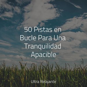 Tonos Del Río