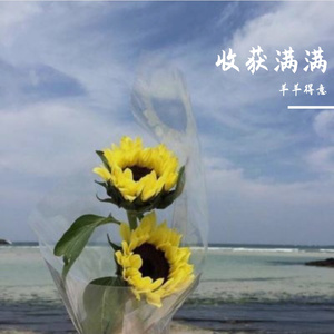 收获满满
