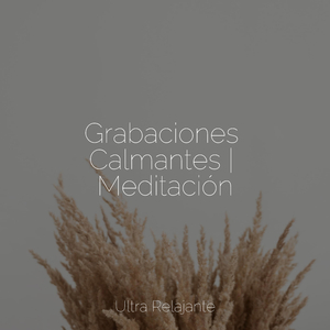 Corrientes Sinuosas