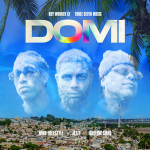 D.O.M.I. (feat. Fatman Scoop)