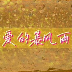 爱的暴雨 (DJ版)