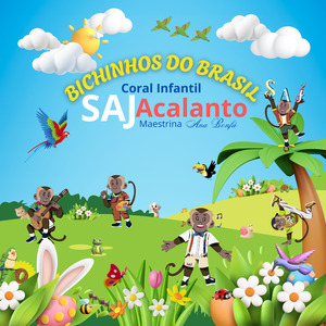 BICHINHOS do BRASIL